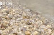 长岛球石危机：游客无视警告，引发争议